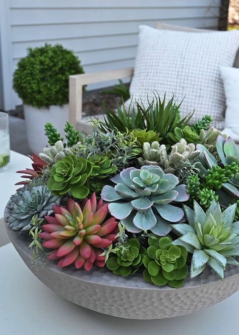 The perfect example of artificial potted succulent plants, this faux succulent arrangement in an attractive grey textured bowl is a luxury piece that brings elevated style to your interior design. Showcase it on a table, and let the garden-inspired design of colorful, assorted life-like fake succulents be the center of attention. Whether you display it in your living space or your home office, this zero-maintenance plant offers lasting beauty and a permanent feeling of nature to keep your surroundings relaxing and peaceful. 13" Tall x 18" Wide Fiber Cement Bowl Planter, 6" Tall x 16" Wide 50% Polyester, 20% Plastic, 20% Pot, 10% Wire Assembled by hand This item is shipped in styrofoam that is free of CFC’s/HCFC’s chemicals and is recyclable at designated locations throughout the U.S. (chec Succulent Garden Pot, Succulent Arrangements Outdoor, Succulent Arrangements Diy, Cement Bowl, Outdoor Succulents, Succulent Bowl, Cactus Landscape, Textured Bowl, Potted Plants Patio