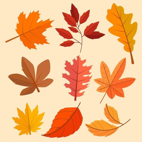 Leaves Sketch, Autumn Leaves Background, Watercolor Autumn Leaves, Christmas Graphic Design, Holiday Graphics, Graphic Design Cards, Fall 23, Leaves Illustration, Interior Design Sketches