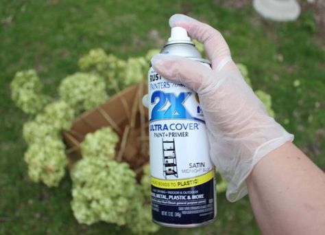 Drying Hydrangeas With Hairspray, How To Display Dried Hydrangeas, Dry Hydrangeas Decor, Dry Hydrangeas How To, How To Spray Paint Hydrangeas, How To Make A Hydrangea Wreath, Decorating With Hydrangeas For Fall, How To Preserve Hydrangea Blooms, How To Dry Hydrangea Flowers