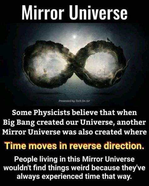 Science Theories, Universe Theories, Universe Facts, Physics Facts, Physics Theories, Science Facts Mind Blown, Quantum Physics Spirituality, Theories About The Universe, Mirror Universe