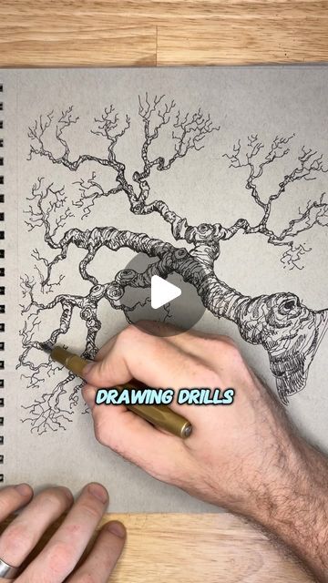 Sean Anetsberger on Instagram: "This is how you draw a gnarled tree branch in ink! Let that hand flow around and let the pen wiggle to find the shape of the tree. You can have a basic idea of what the shape will be but over all you want there to be random bumps and lumps around the outline. 
Drawing this tree was super fun and it allowed me to not worry about getting lines to be perfectly clean and orderly so give it a shot! 

Check out my drawing drills course by tap tap tapping through my profile! 

#artlessons #howtodraw #drawingtutorial #drawinglessons #artcoach"