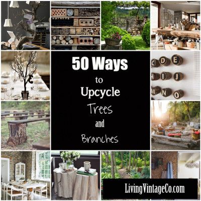 50 Ways to Upcycle Tree Branches and Logs Tree Branch Decor, Branches Diy, Branch Art, Diy Rustic Decor, Living Vintage, Wood Branch, Diy Tree, Branch Decor, Diy Holz