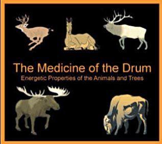 Caring For Your Drum – Cedar Mountain Drums Competition Quotes, Native American Drums, Music Rules, Frame Drums, Sweat Lodge, Native American Spirituality, Native American Music, Drum Circle, Medicine Wheel