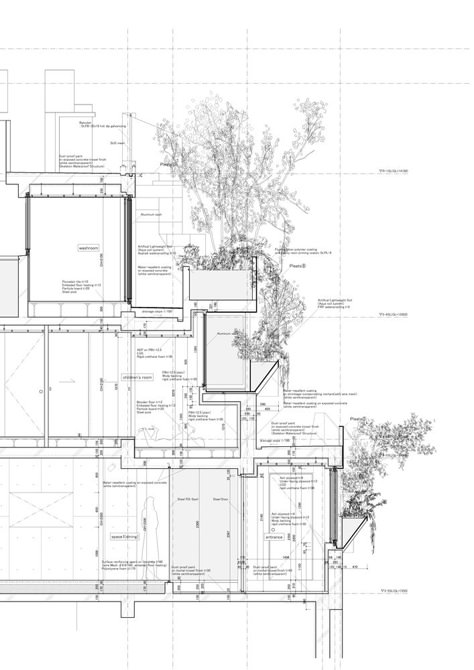 Gallery of Tree-ness House / Akihisa Hirata - 40 Green Facade, Architecture Panel, Architecture Concept Diagram, Roof Architecture, Architectural Section, Green Architecture, Construction Drawings, Architecture Design Concept, Organic Architecture