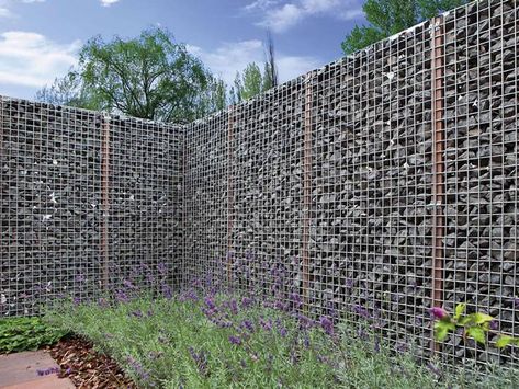 Gabion Fence Used for Privacy Wall, Garden Fence, Space Partition Design For Garden, Welded Wire Fence, Gabion Fence, Fence Plants, Modern Front Yard, Natural Fence, Gabion Wall, Cheap Fence, Front Yard Fence