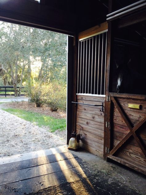 Help I've Fallen and I Cant' Giddy-Up Horse Stables Aesthetic, Western Stable, Stable Ideas, Barn Plan, Dream Stables, Dream Horse Barns, Horse Barn Plans, Horse Facility, Best Barns