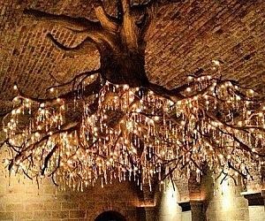 Tree Roots Ceiling Lamp Tree Chandelier, Hipster Cafe, Chandelier Tree, Diy Light Fixtures, Elegant Chandeliers, Crystal Tree, Tree Roots, Ceiling Chandelier, Diy Lighting