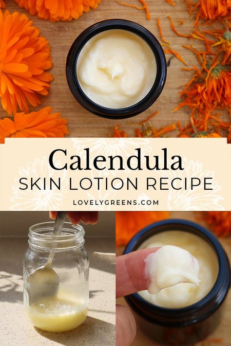 Natural Calendula Lotion Recipe • Lovely Greens Calendula Lotion, Calendula Tea, Rose Hydrosol, Lotion Recipe, Grapefruit Seed Extract, Calendula Oil, Plant Based Skincare, Herbal Recipes, Skin Lotion