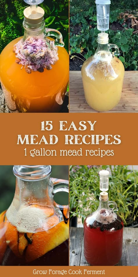 Diy Honey Meade, How To Make Mead Wine, Dandelion Mead Recipe, Raspberry Mead Recipe, Pineapple Mead Recipe, Vanilla Mead Recipe, Mead For Beginners, Mead Recipe 1 Gallon Honey, Lemon Mead Recipe