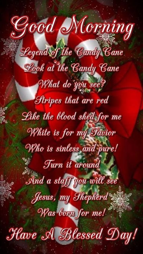 Christmas Morning Quotes, Christmas Messages For Friends, Christmas Greetings Quotes, Christmas Greetings Messages, Christmas Wishes Quotes, Good Morning Christmas, Christmas Poem, Christmas Scripture, Christmas Card Sayings