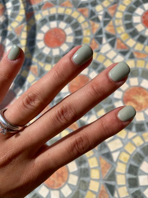 Eucalyptus Green Nails, Eucalyptus Nails, Autumn Nails Green, Green Nails Simple, Nails Basic, Nails Autumn, Eucalyptus Green, Colorful Nail, Nails Green