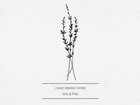 Thyme Herb Tattoo, Thyme Sprig Tattoo, Thyme Drawing Simple, Thyme Plant Tattoo, Thyme Flower Tattoo, Rosemary And Thyme Tattoo, Thyme Tatoos, Thyme Drawing, Thyme Sketch