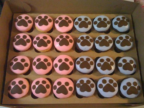 Puppy Print Cupcakes — Cupcakes! Beagle Cupcakes, Paw Cupcakes, Dog Baking, National Cupcake Day, Doggie Birthday, Puppy Cupcakes, Pull Apart Cupcake Cake, Cupcake Day, Dog Cupcakes