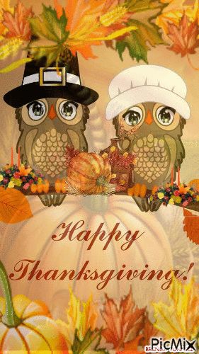 Pilgrim Owl Couple - Happy Thanksgiving quotes gifs thanksgiving happy thanksgiving happy thanksgiving quotes happy thanksgiving greetings best thanksgiving quotes happy thanksgiving gifs happy thanksgiving pics Happy Thanks Giving Wallpaper, Happy Thanksgiving Images Cute Funny, Happy Thanksgiving Pics, Happy Thanksgiving Gif Images, Happy Thanksgiving Coffee Images, Cute Happy Thanksgiving Quotes, Happy Thanksgiving Images Cute, Thanksgiving Pictures Image, Thanksgiving Gifs Images