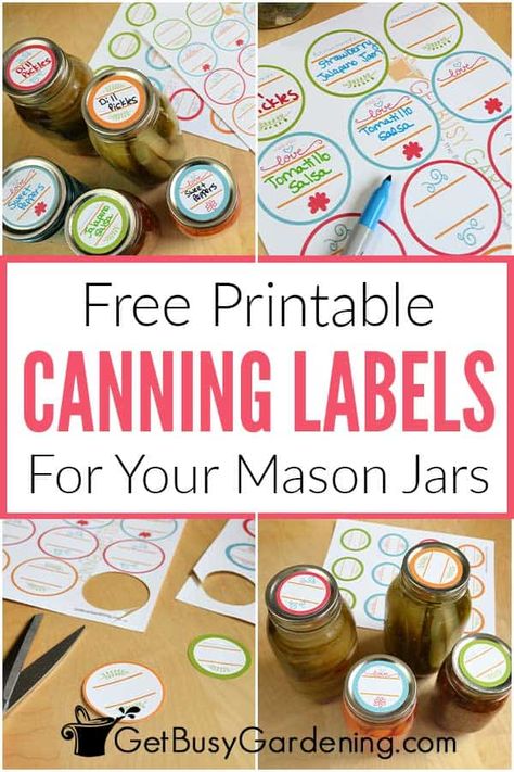 Are you looking for free printable canning jar labels? I designed some very cute ones for you. These canning labels are easy to print at home either on card stock paper or using a label template. Plus they come in two sizes to fit either regular or wide mouth mason jar lids. Since they’re customizable, you can use them for any type of preserves, jam, jelly, pickles, salsas, etc. Use them to make DIY personalized Christmas gifts, for crafting, adding pops of color to your pantry, or other ideas. Labels For Canning Jars, Making Labels For Jars, Free Printable Jam Jar Labels, Cricut Canning Jar Labels, Pickle Labels Free Printable, Christmas Jam Labels, Homemade Labels For Jars, Canning Jar Labels Printable Free, Canning Jar Lid Labels Free Printable