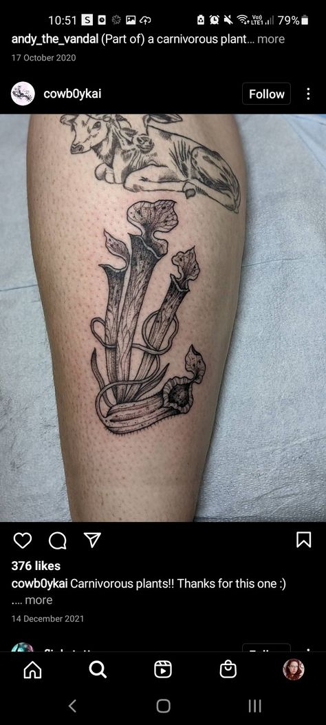 Carnivorous Plants Tattoo, Sundew Tattoo, Pitcher Plant Tattoo, Carnivorous Plant Tattoo, Fantasy Flora, Plants Tattoo, Plant Tattoos, Bat Tattoo, Plant Tattoo