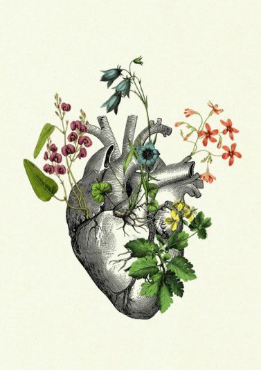 Lung Art, Steampunk Kunst, Flower Anatomy, Body Flowers, Anatomical Heart Art, Anatomical Art, Heart With Flowers, Dolphins Tattoo, Heart Anatomy