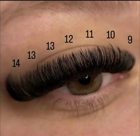 Lash Mapping With Curl, 8d Lash Extensions, 9-13 Mm Lashes, Russian Lash Mapping, Volume Wispy Eyelash Extensions Map, Russian Lash Map, Russian Hybrid Lashes, Doll Eye Volume Lash Extensions Mapping, Full Lash Extensions Styles