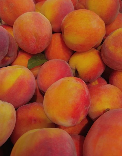 Yellow Peach Aesthetic, Juicy Peach Aesthetic, Peach Orange Aesthetic, Georgia Peach Aesthetic, Peach Flavor Aesthetic, Peach Photography Aesthetic, Peach Nature Aesthetic, Peaches Aesthetic, Peach Fruit Aesthetic