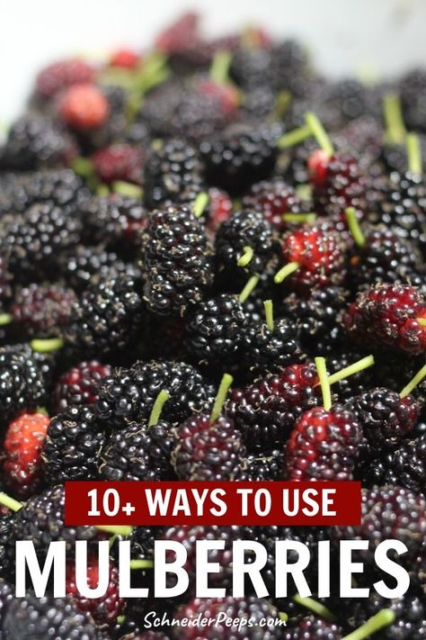 Keto Mulberry Recipes, Mulberry Crumble Recipe, Fresh Mulberry Recipes, Mulberry Dessert Recipes, Mulberry Pie Recipe Easy, Mulberry Recipes Desserts, Mulberry Desserts, Mulberry Pie Recipe, Mullbery Recipe