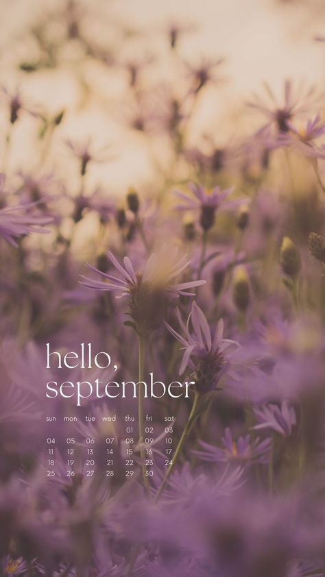 A cute calendar of september wallpaper with a purple flower field backgrounds September Wallpaper Aesthetic Iphone, Hello September Month, September Wallpaper Iphone, Hello September Aesthetic, Calendar Lockscreen, Aesthetic Lockscreen Iphone, Hello September Quotes, Organization Calendar, Lockscreen Iphone Quotes