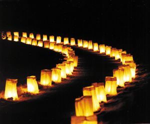 Use paper bags to make luminaries to line your driveway. Use sand ... Paper Bag Candles, Paper Bag Lanterns, Forest Birthday Party, Forest Birthday, Paper Candle, Walkway Lights, Some Nights, Candle Lanterns, Wedding Lights