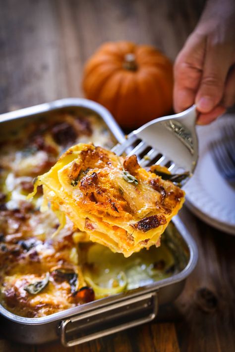 Lasagnes crémeuses au fromage et à la courge butternut rôtie. Un recette facile, gourmande et bon marché. Butternut Recipes, No Salt Recipes, Healthy Foodie, Batch Cooking, Cooking Dinner, Everyday Food, Veggie Recipes, Healthy Cooking, Savoury Food