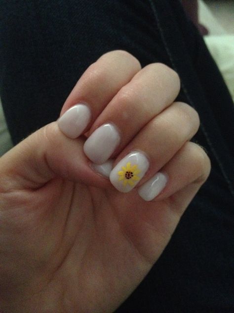 My nails! White shellac with a sunflower accent White Nails With Sunflower, Juniors Outfits, Natural Nail Polish Color, White Shellac, Plan Content, Sunflower Nails, Peach Nails, Nails White, Short Acrylic