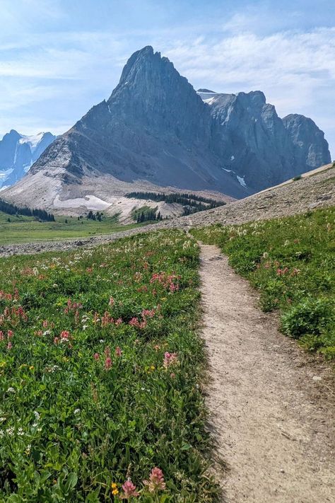 The Great Divide Trail is Canada's wildest and most epic thru-hike. The 1100km+ trail traverses the Continental Divide in the Canadian Rockies, crossing the BC/Alberta border no less than 30 times. Most of the GDT is located in the alpine, in the midst of soaring peaks and glaciers. Some of Canada's most iconic mountain landscapes are showcased on the GDT, including Mount Assiniboine, the Rockwall and Mount Robson. Click here to discover more and get planning a hike today! offtracktravel.ca Mount Assiniboine, Long Distance Hiking, Mount Robson, Continental Divide Trail, Thru Hike, Evermore Era, Mountain Landscapes, Continental Divide, Thru Hiking