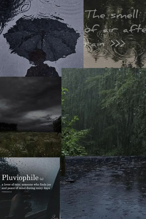 Raining Aesthetic Wallpaper, Pluviophile Aesthetic Wallpaper, Dark And Moody Aesthetic, Rainy Day Collage, Rainy Backgrounds, Pluviophile Aesthetic, Collage Quotes, Moody Images, Rainy Day Wallpaper