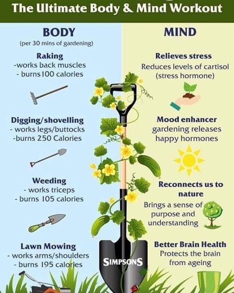 An interesting summary of the benefits of gardening 🌱⛅ We still all need our excercise and also something to keep us occupied and gardening is the perfect past time! ☺🌞🌱👨‍🌾👩‍🌾🌈 #gardeningmakesmehappy #gardening #plantsmakepeoplehappy #plantsplantsplants #gardeningtherapy  #holdenclough #allthingsgarden #since1927 #theplantspeople #homedelivery #ribblevalley #clitheroe #clitheroeplants #plantstoyourdoor National Heart Month, Horticulture Therapy, Heart Month, Benefits Of Gardening, Garden Rake, Healing Garden, Sensory Garden, Happy Hormones, Go To The Gym