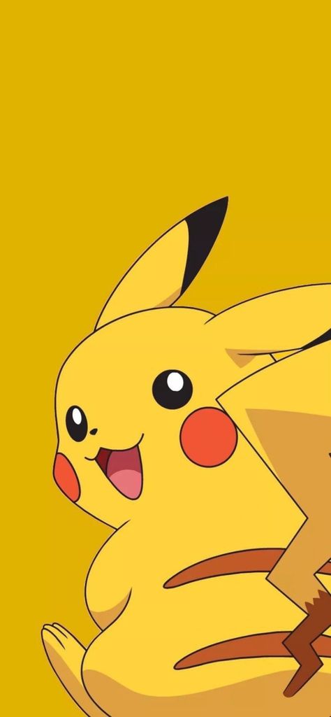 Pokemon Pikachu Wallpaper, Pokemon Illustration, Pikachu Wallpaper Iphone, Camera Cartoon, Pokemon Painting, Pikachu Art, Pokemon Backgrounds, Cat Profile, Pikachu Wallpaper