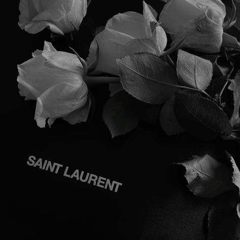 Saint Laurent, Pins