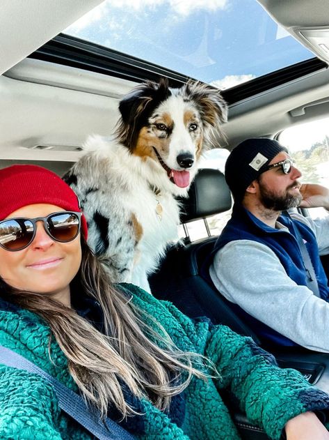 pet care tips, australian shepherd training, road trip tips for pets Traveling With Dogs, Road Trip With Dog, Road Trip Tips, Family Road Trip, Dog Essentials, Ski Vacation, Nyc Life, Family Road Trips, Road Trip Hacks