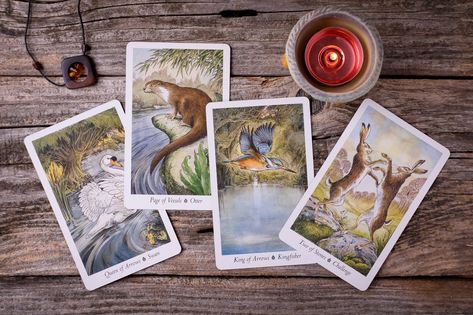 The Wildwood Tarot ⭐️ Deck Review and Card Images Wildwood Tarot, Best Tarot Decks, Vision Board Book, July Challenge, Forest Spirits, The Wheel Of The Year, Mary K, Deck Posts, Card Images