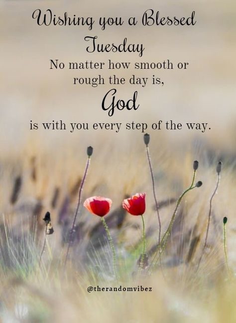 Everyday Blessings Quotes, Its Tuesday Good Morning, Morning Blessings Tuesday, Blessed Tuesday Quotes Inspiration, Blessed Tuesday Quotes, Good Morning Tuesday Inspiration, Tuesday Blessings Mornings, Good Morning Tuesday Blessings, Tuesday Morning Quotes