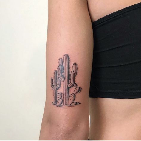 Cactus Tattoo Back Of Arm, Unique Cactus Tattoo, Palm Tree Cactus Tattoo, Cactus Garden Tattoo, Cactus Arm Tattoo, Realistic Cactus Tattoo, Black And White Cactus Tattoo, Western Filler Tattoo, Cactus With Flower Tattoo