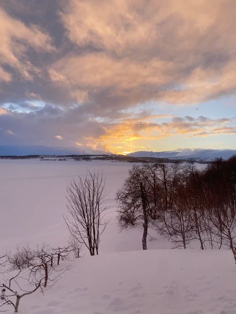 #winter #norway #pretty #snow #cold #norwegianwinter #trees #sunset #sun Winter Norway, Pretty Snow, Norway, Trees, Sun, Pins