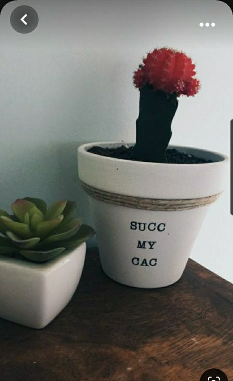 How To Make Pots For Plants Diy, Funny Painted Pots, Succulent Quotes Funny, Fun Plant Pots, Succulent Pot Ideas Diy, Plant Diy Projects, Plant Pot Painting Ideas, Plant Pot Ideas, Plant Puns