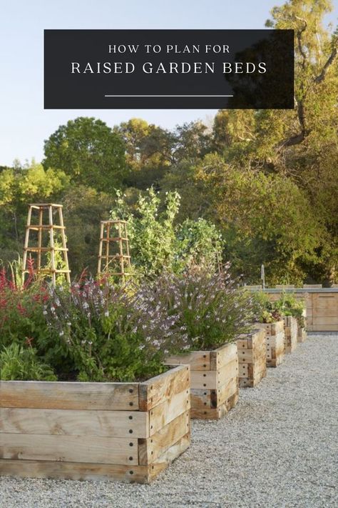 Want to create a stunning garden that's both beautiful and practical? Our latest post has all the tips and tricks for planning and building your own raised garden beds. #gardendesign #raisedbedgarden #DIY Low Raised Garden Beds, King Hezekiah, Garden Bed Layout, Frame Cabin, Potager Garden, Veg Garden, Vegetable Garden Design, Diy Landscaping, Plants And Flowers