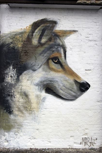 Street Art by Masai Wolf Mural, Wheat Paste, Street Art Banksy, Sidewalk Art, Graffiti Artwork, Charcoal Drawings, 3d Street Art, Amazing Street Art, Murals Street Art