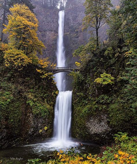 Oregon City Aesthetic, Oregon Spring, Oregon Aesthetic, Fellowship Hall, Spring Picture, Aesthetic Scenery, Oregon City, City Aesthetic, Favorite Things