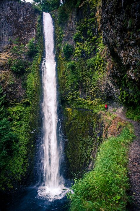 Tunnel Falls Oregon, Oregon Hikes, Oregon Waterfalls, Eagle Creek, Oregon Washington, Columbia River Gorge, American Road Trip, Oregon Travel, American Travel