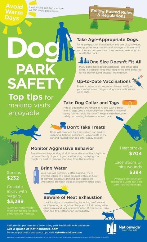 Dog Infographic, Dog Training Classes, Dog Area, Dog Essentials, Dog Health Care, Dog Facts, Dog Safety, Dog Hacks, Dog Care Tips