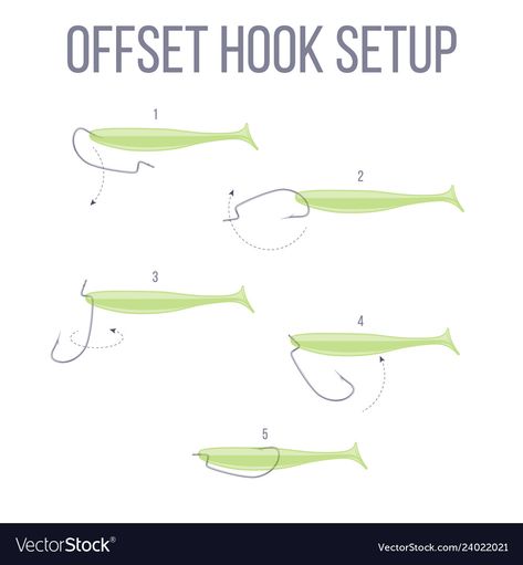 How To Bait A Hook, Catfish Rigs, Fishing Hook Knots, Paper Mechanics, Largemouth Bass Fishing, Fishing Ideas, Kayak Fishing Gear, Deer Hunting Blinds, Salt Water Fishing