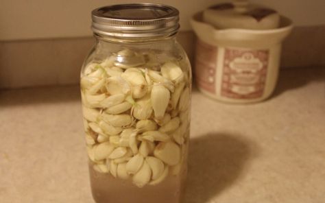 Heard of fermented garlic? Wondered what the health benefits of garlic are? Then this post is for you! Wapf Recipes, Health Benefits Of Garlic, Fermented Garlic, Garlic Breath, Gaps Diet Recipes, Nutritional Healing, Benefits Of Garlic, Gallon Mason Jars, Garlic Health Benefits