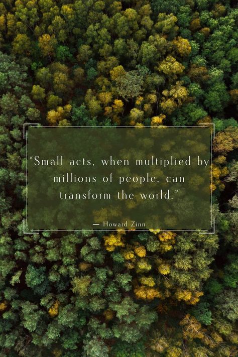 Sustainability Quotes, Environmental Quotes, Environment Quotes, Howard Zinn, Environmental Conservation, Environmental Awareness, Quotes To Inspire, Change Quotes, Mindful Living