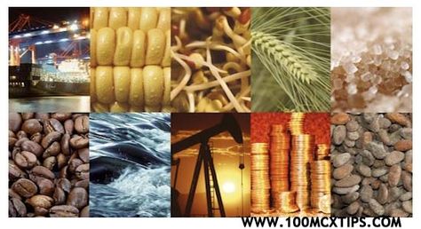 This is a picture of examples of raw materials. One of Venezuela’s main imports is raw materials. Raw materials are any material used that comes from nature, it can be used for food like meat, or wood for tables, etc. Commodity Trading, Commodity Market, Investing In Stocks, Crude Oil, Option Trading, Risk Management, Hedges, Stock Market, Projects To Try