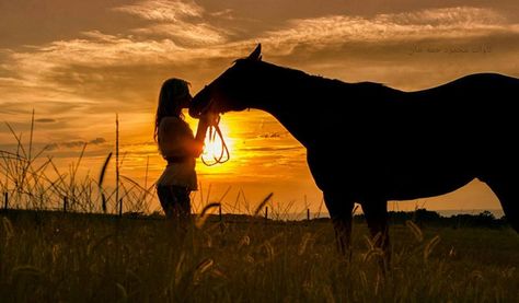 The sunset, the timothy, this photo is complete with the horse and owner. Horse Photoshoot Ideas, Uk Birmingham, Horse Poses, Horse Senior Pictures, Horse Portraits, Horse Photoshoot, Horse Photography Poses, Photography Horse, Pictures With Horses