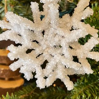 Borax Pipe Cleaner Crystals, Crystal Tree Diy, Salt Crystal Snowflakes, Borax Crystal Ornaments, Crystal Ornaments Diy, Borax Crystals Diy, Borax Snowflakes, Epsom Salt Crystals, Diy Crystal Crafts